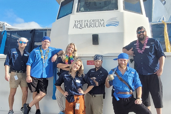 The Florida Aquarium Family Day Out Tampa Florida Attractions