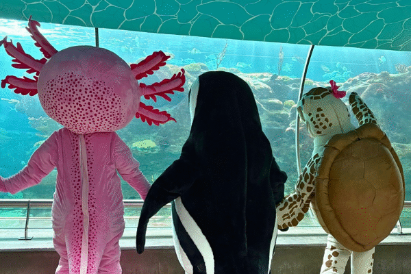 The Florida Aquarium Family Day Out Tampa Florida Attractions