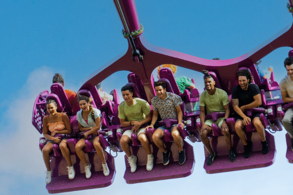 Busch Gardens Best Theme Park Tampa Amusement Park Florida Safari Family Attraction