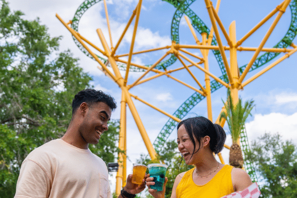 Busch Gardens Best Theme Park Tampa Amusement Park Florida Safari Family Attraction
