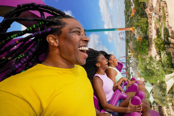 Busch Gardens Best Theme Park Tampa Amusement Park Florida Safari Family Attraction