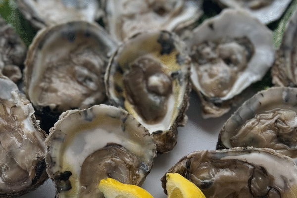 Crabbys Dockside Best Seafood Restaurant In Tampa Fresh Seafood Clearwater
