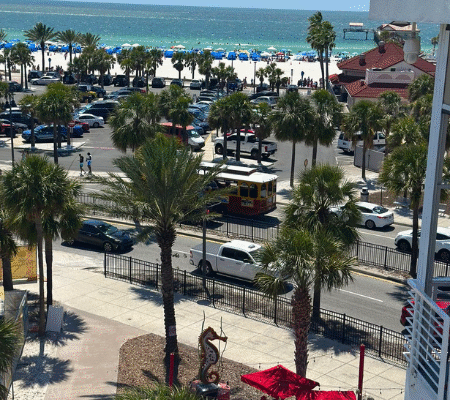Crabbys Dockside Best Seafood Restaurant In Tampa Fresh Seafood Clearwater