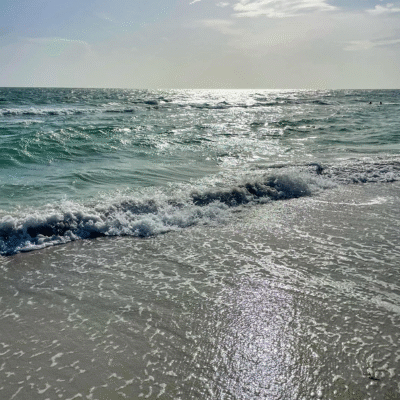 Caddys Treasure Island Waterfront Restaurant Tampa Florida Beach Dining