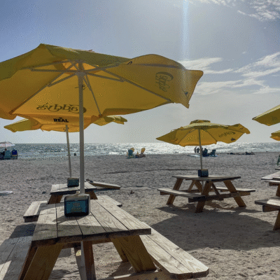 Caddys Treasure Island Waterfront Restaurant Tampa Florida Beach Dining
