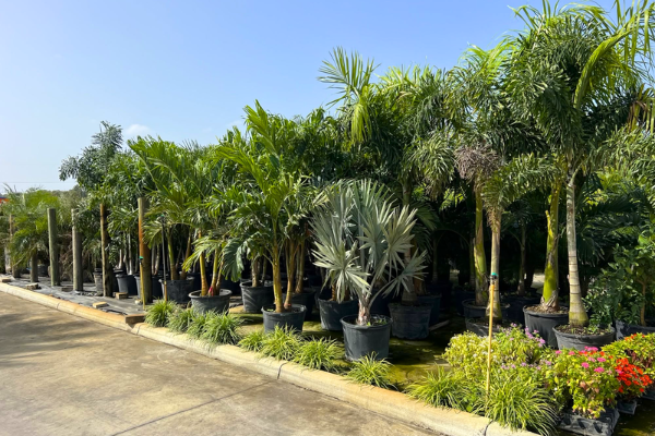 Mu-Grow Materials Landscape Materials Tampa Building Supplies Hillsborough County Concrete