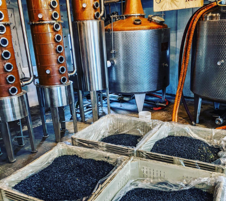 Gasparilla Rum Distillery Tampa Distillery Tours Tampa Cocktail Bar Ybor City