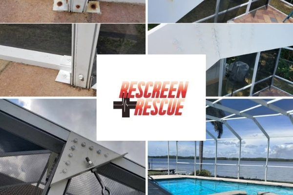 Rescreen Rescue Swimming Pool Screen Repair Tampa Bay Screen Replacement Services Florida