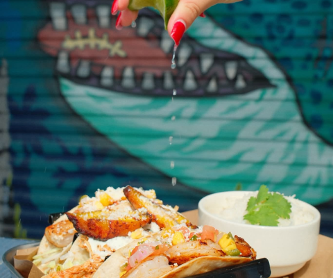 Sharky's Sea Pub Sports Pub Tampa Bay Seafood Restaurant Indian Shores Live Sports