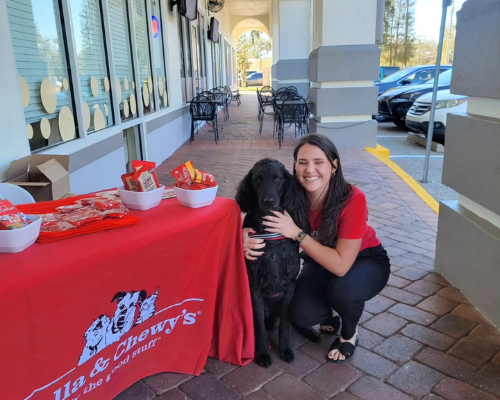 The Hounds Meow Raw Pet Food Tampa Pet Supplies Hillsborough