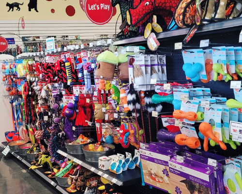 The Hounds Meow Raw Pet Food Tampa Pet Supplies Hillsborough